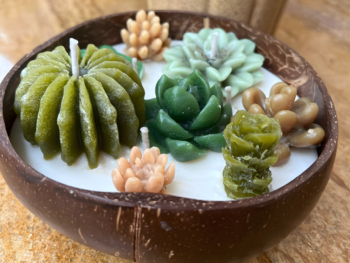 Handmade succulent candle arrangement in a coconut shell bowl with green and beige wax plants