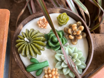 candles in coconut shell